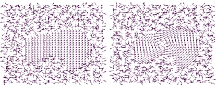 Figure 1: Two examples of vector fields: translation (left) and rotation (right).