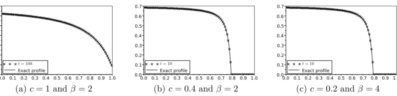 Figure 5: Convergence to the equilibrium profile for large time simulations (J = 100).