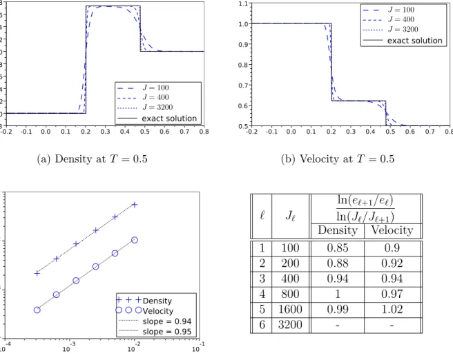 Figure 2: Results for Test 1  p(ρ) = k (ρ) γ  .