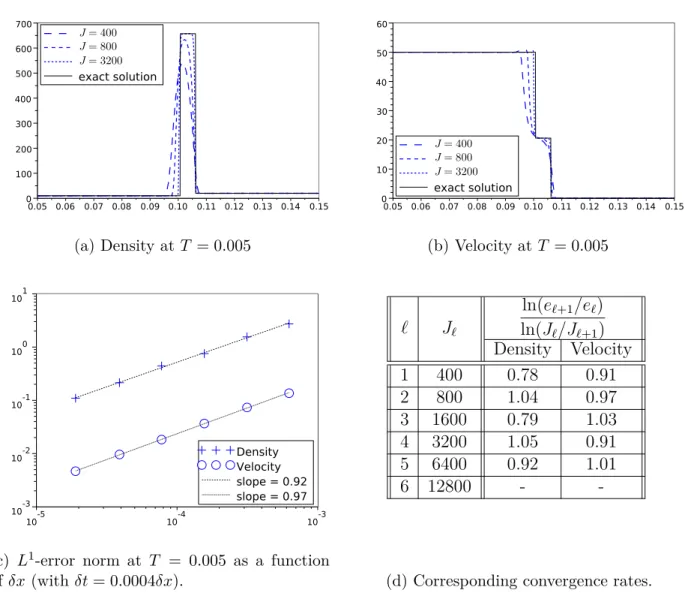 Figure 5: Results for Test 4  p(ρ) = k (ρ) γ  .