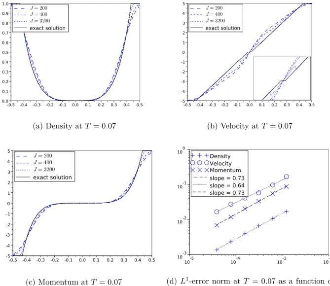 Figure 6: Result for Test 5  p(ρ) = k (ρ) γ  .