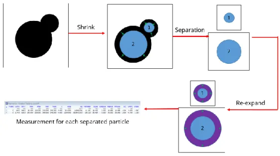Figure 2. Method to detect and correct overlapped particles 