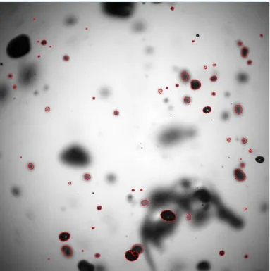 Figure 7. Shadow images acquired from a water spray, together with red contour of each detected particle given by shadow  image processing 