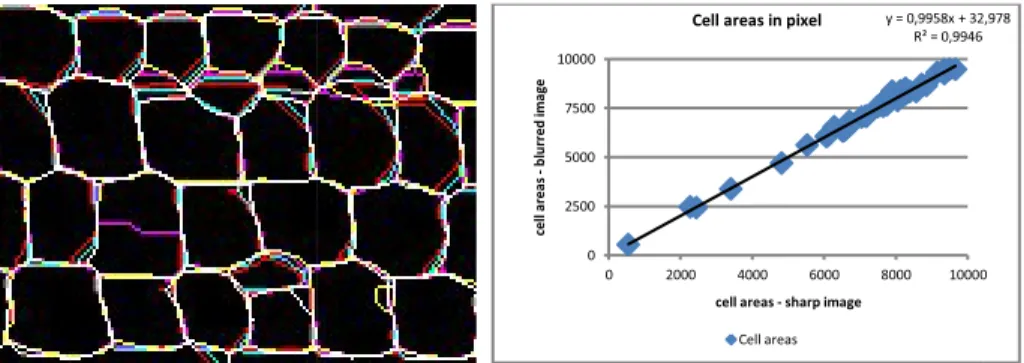 Fig. 6. Left: superposition of c blurred: crest lines are display tion; are thus displayed in whi due to the over-segmentation.