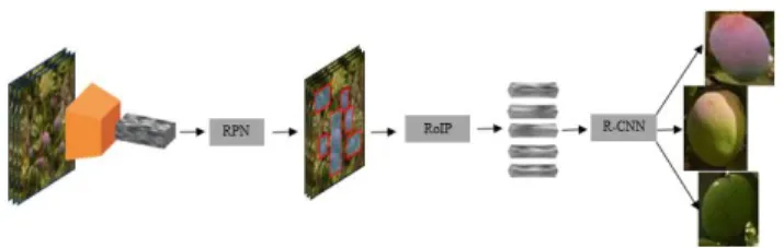 Figure 1. Complete Faster R-CNN architecture. 