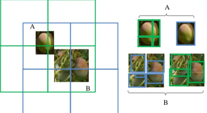 Figure 2. Image tiling and object detection. A- The green  tiling splits the object into 4 parts which are each  detected by the network; in the blue tiling, the object is 