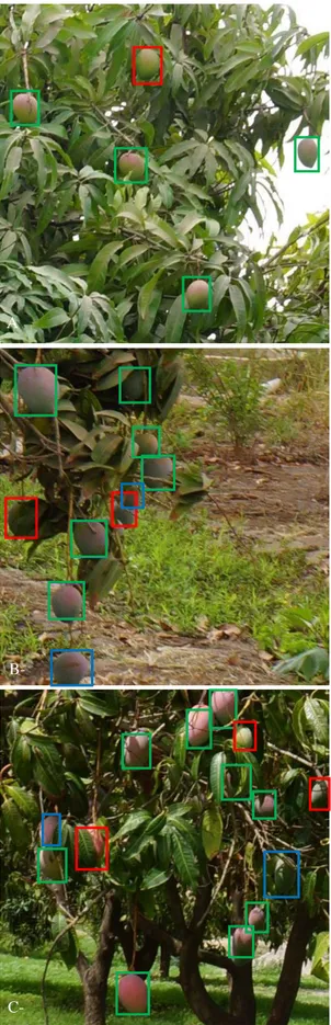 Figure  10  shown  the  behaviour  of  the  identification  network: 
