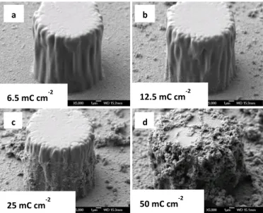 Figure  2.  SEM  image  of  the  micro-pillars  surface  (pillar  diameter  15µm  spaced  from  40µm)  covered  with  electrodeposited  fluorinated  polymer  films  with  different  charge  (from  top  left  to  bottom  right:  6.5,  12.5,  25  and  50  mC