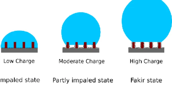 Figure 6.  Hybrid surfaces in fakir, intermediate and impaled states. 