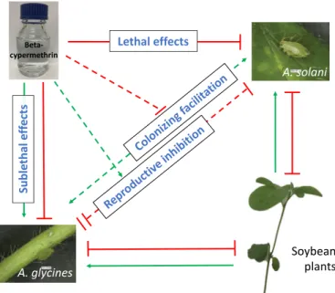 Fig. 4. A network of soybean plant-specialist aphid-generalist aphid-insecticide  interactions