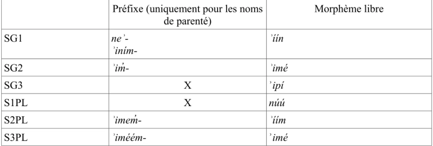 Tableau 10: Marques du possessif