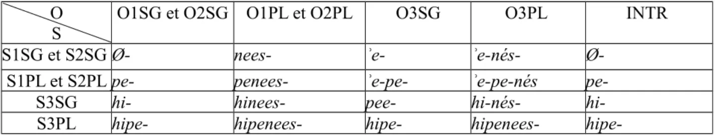 Tableau 12: Préfixes pronominaux O
