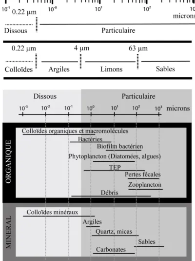 Figure 1-1. Classification des tailles de matières dissoutes et particulaires, organiques ou  minérales transportées par les cours d'eau (Verney, 2006)