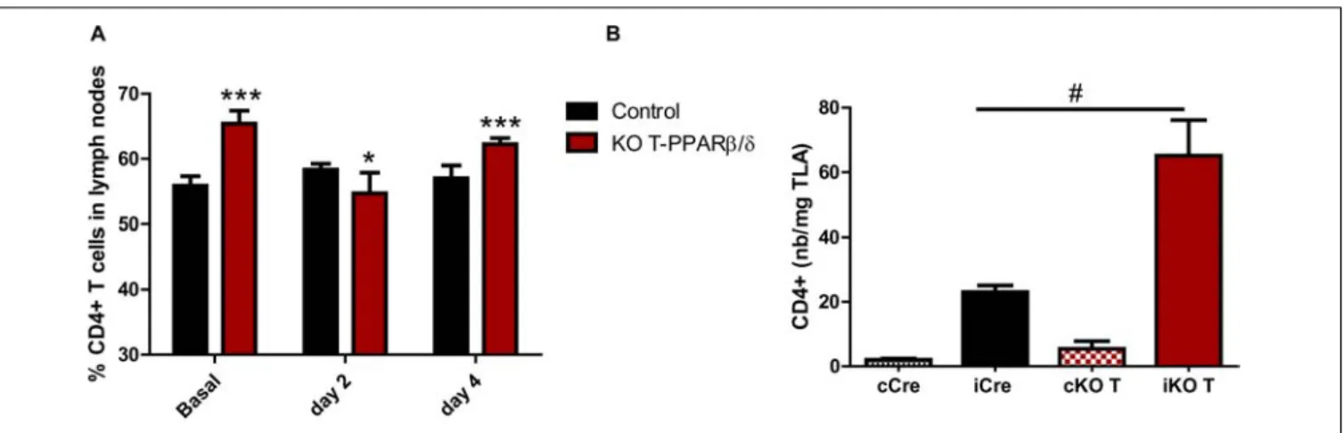 FIGURE 2 | CD4 + T cell prevalence in lymph nodes and in TLA after cardiotoxin-induced injury of young KO-T PPAR β / δ and control mice