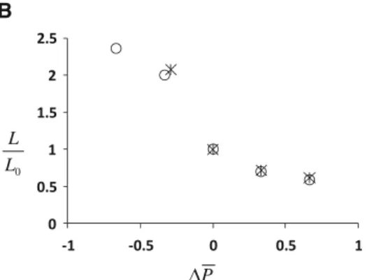 Fig. 3 Comparison between theoretical and experimental L 0 values.