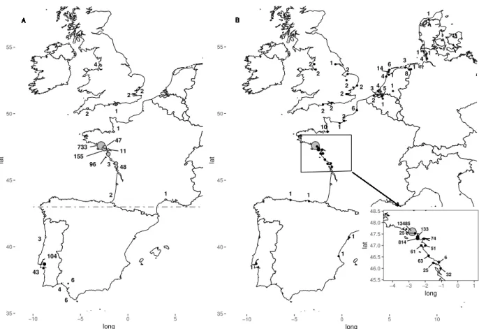 Figure 3.1: A: Distribution of resightings during winter. Grey dots: North wintering sites;
