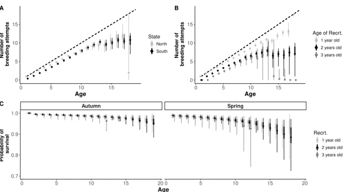 Figure 3.5: Effects of wintering strategy and age of recruitment on reproduction investment and survival rates
