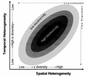 Fig.  2.  Un  modèle  concept uel  illustrant  l’importance  de  l’hétérogénéité  spatio -temporelle  dans  le  maintien  de  la  biodiversité  dans  les  écosystèmes  des  plaines  inondables