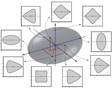 Figure 4: Some points on the ellipsoid S µ (µ = 0.3) and the corresponding shapes of the swimmer.