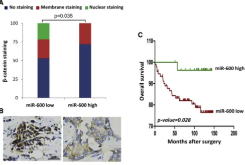 Figure 7. Clinical Association between miR-600 Expression and Breast Cancer Prognosis