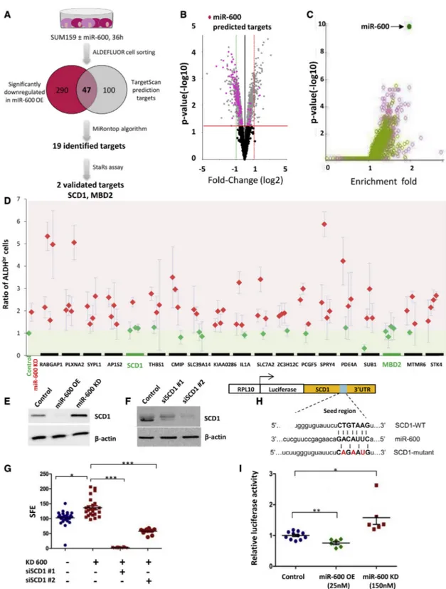 Figure 3. Identification of miR-600 Functional Target Genes