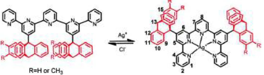 Figure 26 Engrenage droit de Jiang et al. [27] 