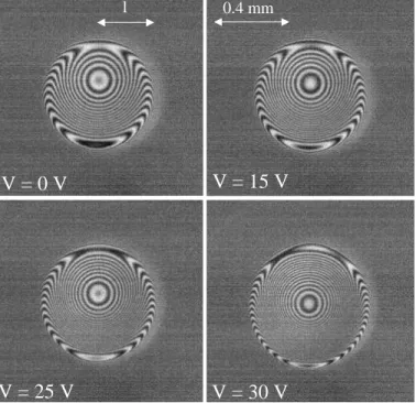 FIG. 2: Interferences patterns at the bottom of a Leidenfrost droplet of radius R ' 1 mm and Laplacian disk radius l