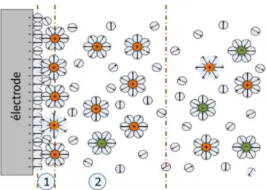 Figure I-3 : Illustration de la double couche présente à l’interface électrode/électrolyte 