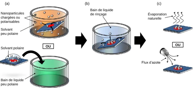 Figure  II.15 :  (a)  Représentation  schématique  du  développement  d’un  motif  de  charges  dans  une  dispersion  de  nanoparticules  colloïdales  de  solvant  peu  polaire  (haut)  ou  incubation  d’une  goutte  de  dispersion colloïdale de solvant p