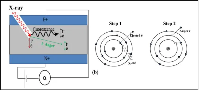 Figure 1.7: Diagram representing the three intermediate mechanisms for carrier ionisa- ionisa-tion in the detector (a) and the emission process of an Auger electron (b).