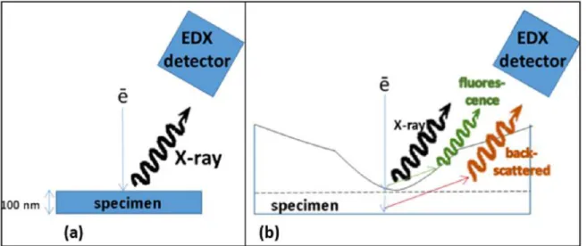 Figure 3.4: Schematic illustration of the inuence of the specimen geometry on EDX artifacts (secondary X-rays created by uorescence and backscattered electrons) in  spec-imens prepared using: a) FIB