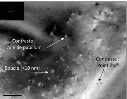 Figure II.15 : Image MET en champ clair (BF) de petites boucles de dislocation dans UO 2