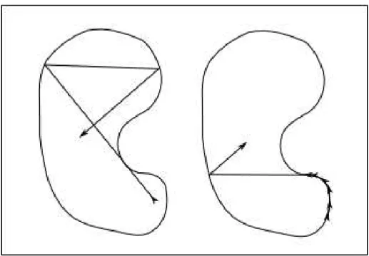 Figure 1: Example of optical rays.