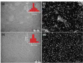 Figure 1.4: (a) Image TEM de nanoparticules de rhénium synthétisées en présence de HDA