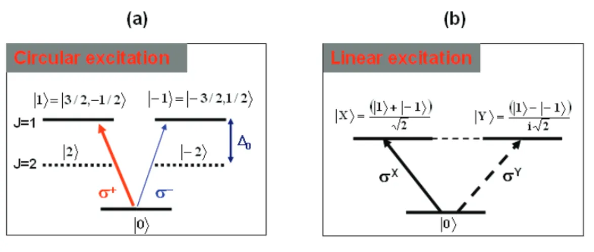 Figure 1.10: The selection rules at þk = 0 in quantum wells corresponding to (a) circular and (b) linear excitations.