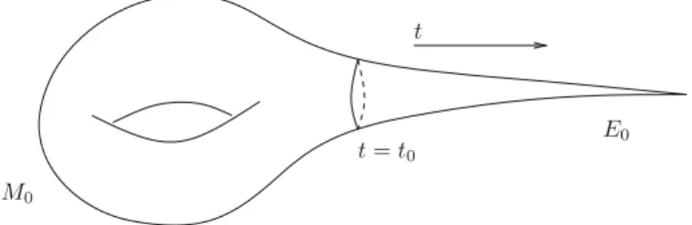 Figure 4. The decomposition M = M 0 ∪ E 0