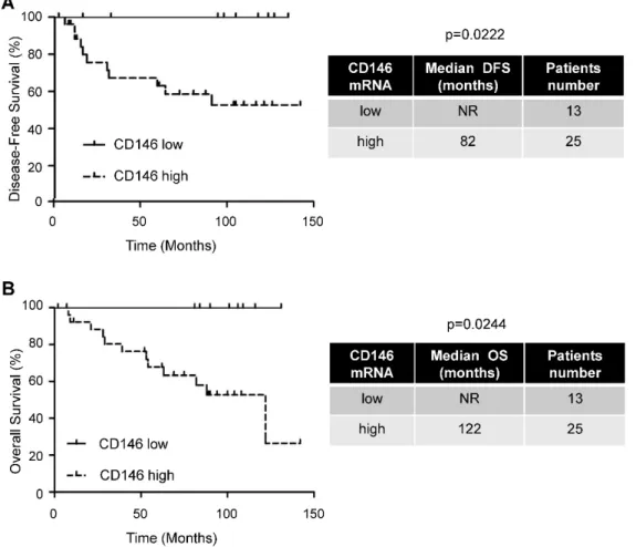 Figure 1. The amount of intra-tumor CD146 mRNA correlated with pejorative evolution of M0 patients