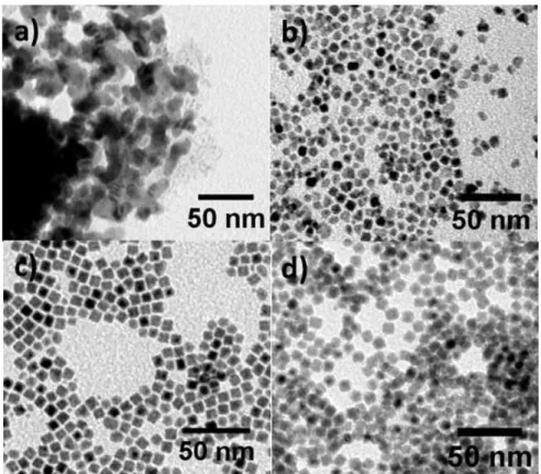 Figure II.2 : Images TEM des nanoparticules obtenues avec une concentration en  précurseurs a) 5, b) 10, c) 20 et d) 30 mM 