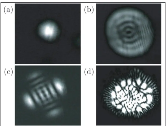 Figure 1. Transverse modes of cold-atom lasers. (a) Gaussian TEM 00 mode, obtained by inserting a small diaphragm in the cavity