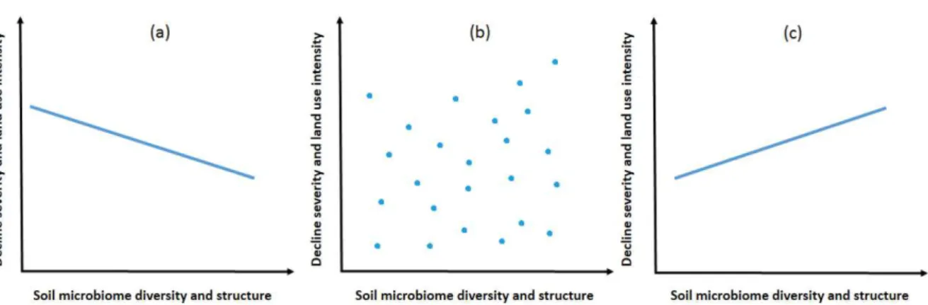 Figure  I.2.  Hypothetical  scenarios  of  interactions  between  soil  microbiome  (diversity  and  structure)  and  cork  oak  ecosystem  status  (decline  severity  and  land  use  intensities)