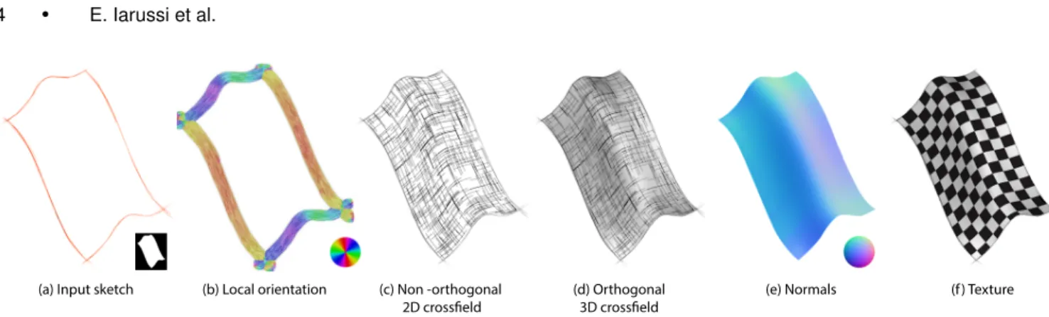 Fig. 4: Our algorithm takes as input a bitmap sketch (a) from which we estimate the local orientation of the strokes (b)