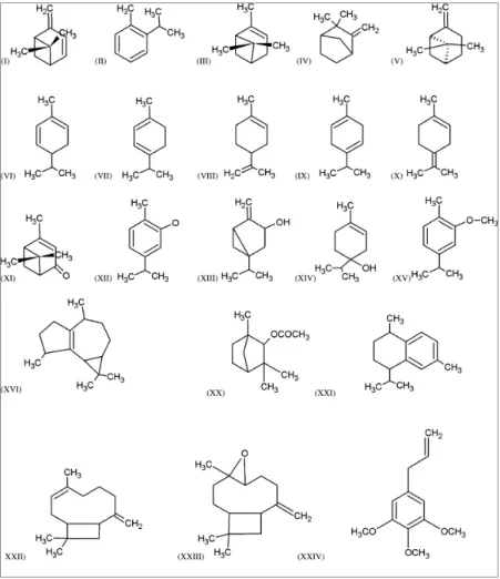 Fig 11 Structure of typical occurring monoterpens (from I to XV) and sesquiterpens (XVI to XXIV) in resins  from Burseraceae family