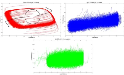 Fig. 6 Projection of 100 trajectories in the (V , w) (top left), (V , y) (top right) and (w, y) (bottom) planes.