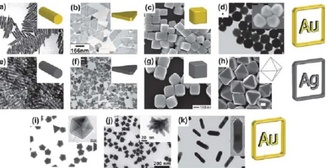 Fig II. 1 : Images MET de particules d'or ou d'argent présentant différentes formes (a, e)  bâtonnet, (b, f) triangle, (c, g) cube, (d, h) octaèdre (i) décaèdre (j) étoile, (k) bâtonnet avec  des extrémités pointues