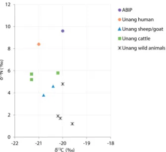 Figure 6. Distribution of carbon and nitrogen stable isotope ratios of ABIP human and Malemort-du-Comtat-Unang (Unang) human and animal remains (created by G