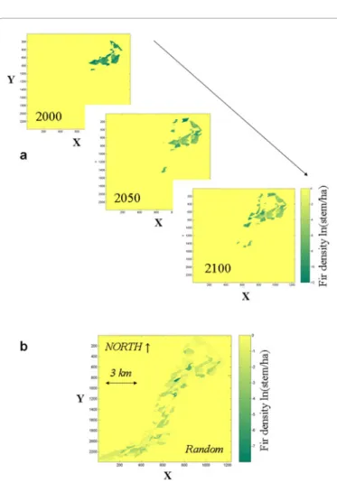 Figure 1: (a) Evolution of spatial distributions of Fir tree densities (stems/ha) in  the Mont Ventoux landscape