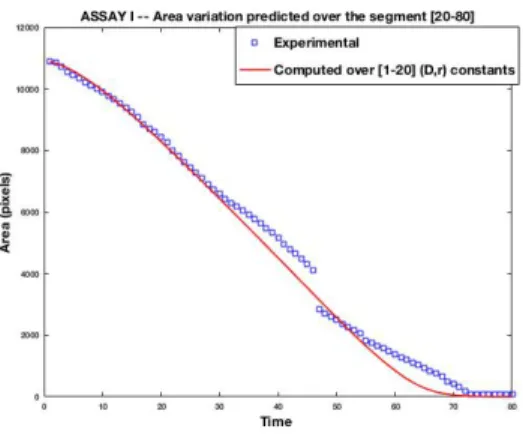 Figure 5: The curve shows the area of the wound depending on time for sequence I (a reference one).