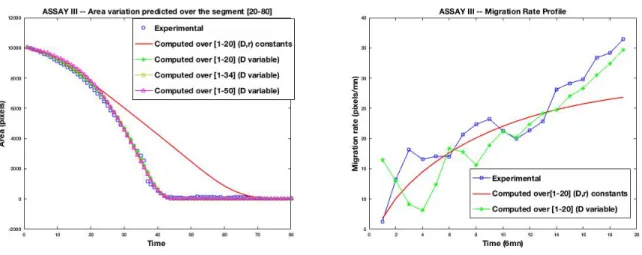 Figure 10: Assay III : time evolution of experimental versus computed wound area (left) and migration rate (right) for different dataset subsets used for the calibration, and the remaining used for the prediction