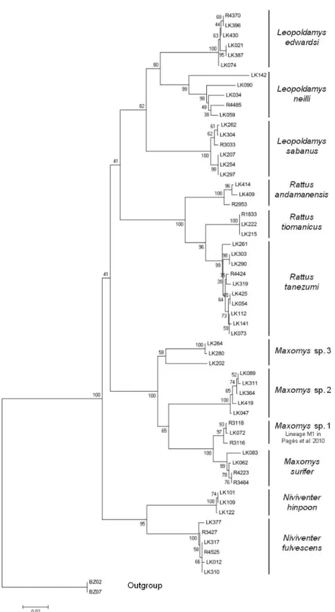 Figure 3:  Neighbor-Joining  phylogenetic tree depicting relationships among Rattini species  of Thai limestone karsts