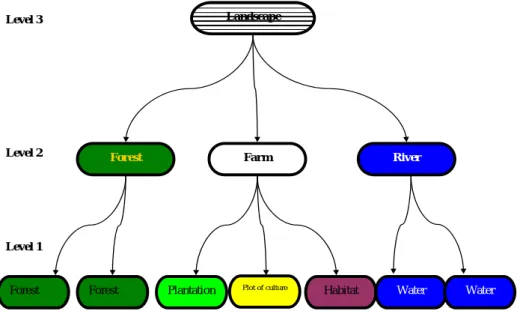 Figure 4: Spatial organization of MIROT 
